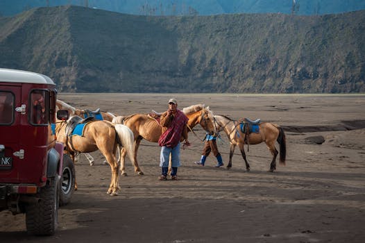 Jak Bezpečně Sázet na Koně Online: Průvodce Proti Podvodům